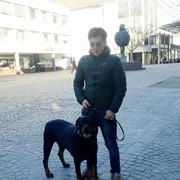 ���������� �������, ���� ������� David, 46 ���, ������������ ��� ������, ����� � ���������, c�������� ���������