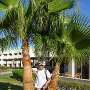  ,   , 48 ,   ,   , c 