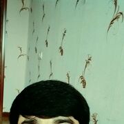 ���������� ����, ���� ����� ����, 21 ���, ������������ 