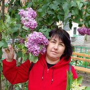  --,   , 53 ,   ,   