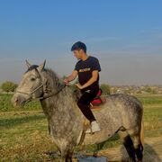 ���������� �������, ���� ����� ���, 25 ���, ������������ ��� ����� � ���������, c�������� ���������