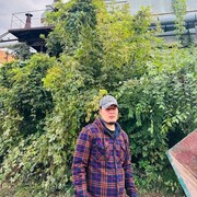 ���������� ������, ���� ����� ���������, 21 ���, ������������ ��� ������, ����� � ���������