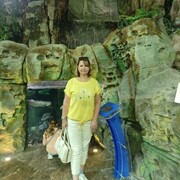 ���������� ���������, ���� ������� ����, 43 ����, ������������ ��� c�������� ���������