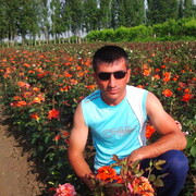 ���������� ������, ���� ������� � _ �, 41 ���, ������������ ��� ������, ����� � ���������