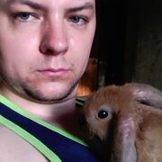  ,   , 41 ,   