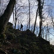 ���������� ������, ���� ������� �����, 30 ���, ������������ ��� ������, ����� � ���������