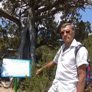  ,   , 74 ,   ,   , c , 