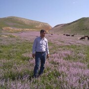 ,   Bahodur, 36 ,   ,   