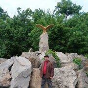  ,   , 50 ,   ,   