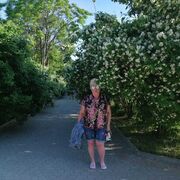 ���������� ��������, ���� ������� ��������, 56 ���, ������������ ��� ������, ����� � ���������, c�������� ���������