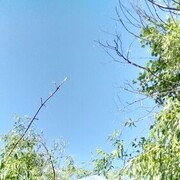  ,   , 41 ,   