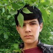  -,   , 24 ,   c , 