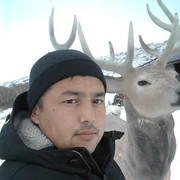  ,   , 36 ,  