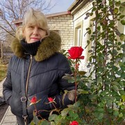  ,   , 65 ,  