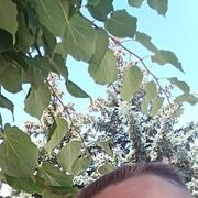  ,   SERZH, 98 ,   ,   , c , 