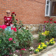 ,   , 58 ,     , c 