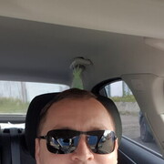 ���������� �����, ���� ������� ������, 33 ����, ������������ ��� ������, ����� � ���������