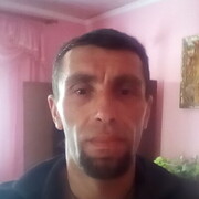  ,  , 41