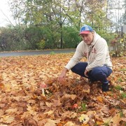  ,   Alegator, 46 ,     , c 