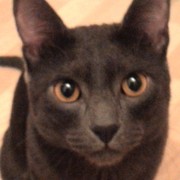 ���������� ������, ���� ������� �����, 30 ���, ������������ ��� ����� � ���������, c�������� ���������