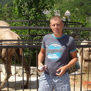 ���������� ��������, ���� ������� Zenuk, 38 ���, ������������ ��� ������, ����� � ���������, c�������� ���������