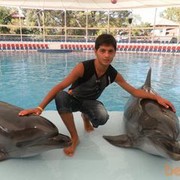 ���������� ����, ���� ������� Elwen, 33 ����, ������������ ��� ������