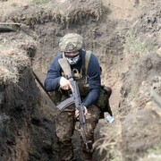 ���������� �����������, ���� ������� ����, 26 ���, ������������ ��� ������, ����� � ���������