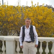   ,   , 55 ,   ,   , c , 