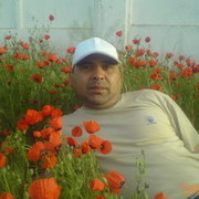  ,   Sardor, 55 ,   