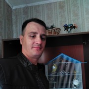  ,   , 44 ,  