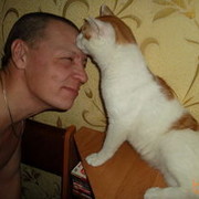  -,   , 51 ,   ,   , c , 