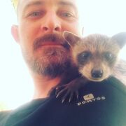 ���������� ������-��-����, ���� ������� ��������� ��, 41 ���, ������������ ��� ������, ����� � ���������, c�������� ���������, ���������