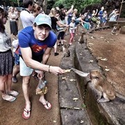 ���������� ������, ���� ������� �������, 38 ���, ������������ ��� ������