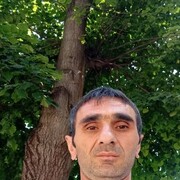  ,  , 41