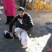 ���������� �����������, ���� ������� Rotomax, 39 ���, ������������ ��� ����� � ���������, c�������� ���������