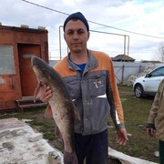 ���������� ������, ���� ������� ����, 44 ����, ������������ ��� ������, ���������