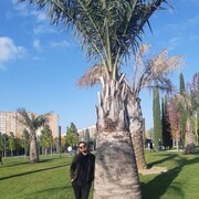 ���������� ���������, ���� ������� ���, 29 ���, ������������ ��� ������, ����� � ���������, c�������� ���������, ���������