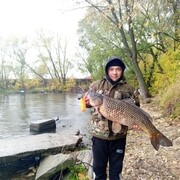 ���������� ������, ���� ������� ��������, 38 ���, ������������ ��� ������, ����� � ���������