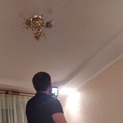  ,  , 33