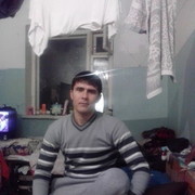 ���������� ��������, ���� ������� Borya, 40 ���, ������������ ��� ������, ����� � ���������, c�������� ���������