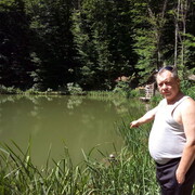  ,   , 54 ,   c 