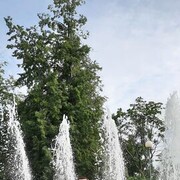  ,  , 37