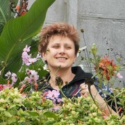  ,   , 46 ,   ,   , c 