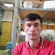 ���������� ��������, ���� ������� �������, 44 ����, ������������ ��� ����� � ���������, c�������� ���������