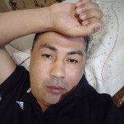  ,  , 43