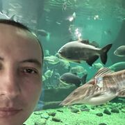 ���������� ������������, ���� ������� �����, 34 ����, ������������ ��� ������, ����� � ���������, c�������� ���������, ���������