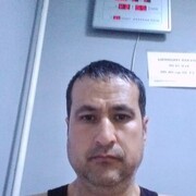 ���������� ����, ���� ������� ��������, 41 ���, ������������ ��� ������, ����� � ���������