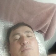  ,  , 43