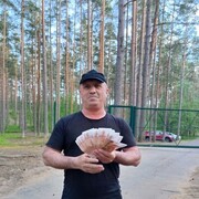  -,   , 49 ,  