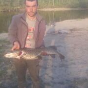 ���������� �����, ���� ������� ����, 37 ���, ������������ ��� ������, ����� � ���������